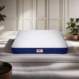 USHA SHRIRAM Blue Quilted Orthopedic QueenMattress-picture-19