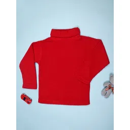 V-Mart Boys Ribbed Turtle Neck Long Sleeve Pullover-picture-42