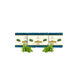 Vagads Set Of 3 Khadi India Mint Handmade Soap - 375 g Each-picture-35