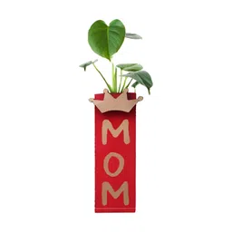 VAH Kya Bat Hai !! Red Printed Magnetic Hydroponic Planter-picture-37