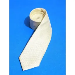 Van Heusen Beige Embroidered Tie-picture-40