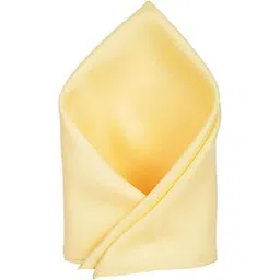 van heusen Men Beige Solid Party Pocket Square-picture-25