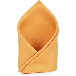 van heusen Men Orange Solid Party Pocket Square-picture-27