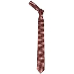 van heusen Men Red Embroidered Tie-picture-43