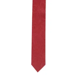 Van Heusen Men Red Printed Broad Tie-picture-34