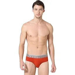 van heusen Men's Cotton Briefs-picture-42