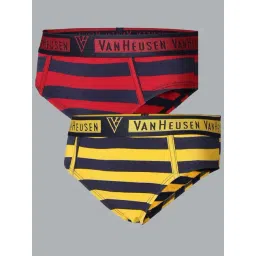 Van Heusen Regular Fit Colour Fresh Ultra Soft Striped Briefs - Pack of 2 - KDS04 , KDS02-picture-41