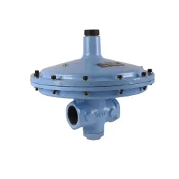 Vanaz Pressure Regulator , R-8503 (F)-picture-19