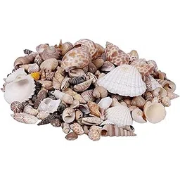 VARDHMAN Ceramic Natural Aquarium Accessories Mix Size Pack of 500 gm Home Decorations, Beach Theme Party, Candle Making, Wedding Decor, DIY Crafts-picture-28