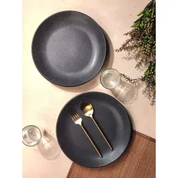 VarEesha Black Ceramic Sparkle Matt Dinner Plate - Set of 2-picture-18
