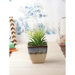 VarEesha Cream & Sky Blue Ceramic Planter Pot - Set of 2-picture-23