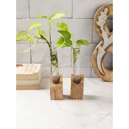 VarEesha Flora Brown 2 Pieces Wooden Test Tube Planters-picture-23