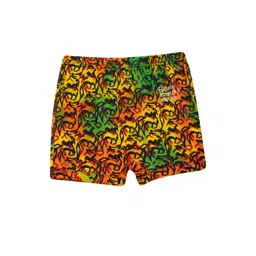 VIRUKSHAM Girls Hipster Briefs-picture-10