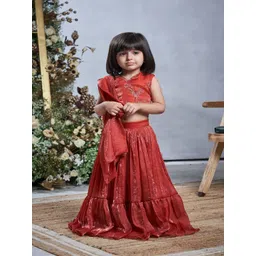 Vivedkids Girls Embroidered Ready to Wear Lehenga &-picture-27