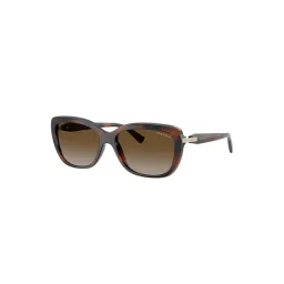 Vogue Eyewear Brown Polarized Butterfly Sunglasses for Women-picture-31
