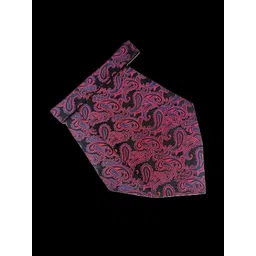 voici Paisley Design Cravats image 3