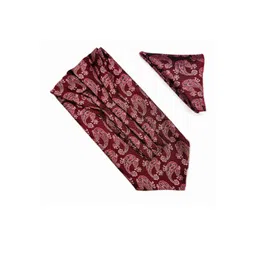 voici Ascot Tie & Pocket Square Combo-picture-23