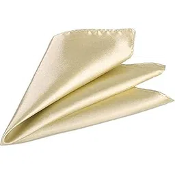 voici France Men's Pocket Square handkerchief soiled and Paisley Self-Design Satin Free Size (Off White)-picture-31