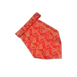 voici Paisley Design Cravats-picture-29