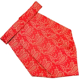 VOICI VOICI Paisley Design Cravats Cravat-picture-16