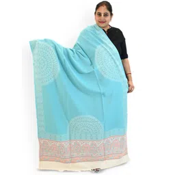 Vrinde Women Ethnic Motifs Printed Shawl-picture-18