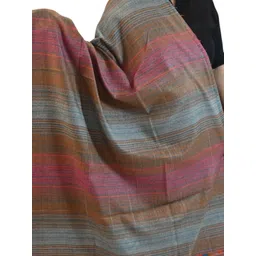 Vrinde Women Ethnic Motifs Printed Shawl image 5