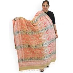Vrinde Women Printed Shawl-picture-27