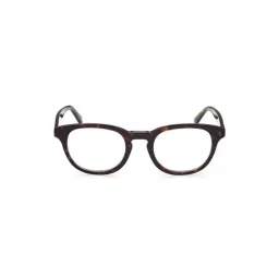 WEB EYEWEAR Brown Full Rim Oval Frame Designed in Italy-picture-15