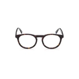 WEB EYEWEAR Brown Full Rim Round Frame Designed in Italy-picture-16