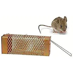 Webbee Craft Iron Rat Trap/Rodent cage/Mouse Control for Home-picture-23
