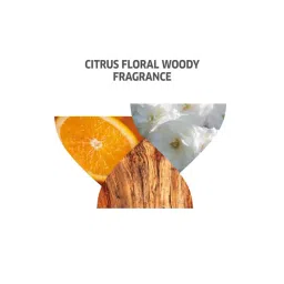 Wella Professionals Invigo Color Brilliance Conditioner - 200 ml image 4