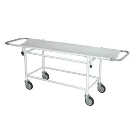 Welltrust Healthcare Mild Steel Powder Coated Stretcher Trolley, WSH-1435-picture-37