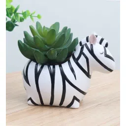wens Mini Zebra Creative Succulent Multicolour Polyresin Desk Pot-picture-18