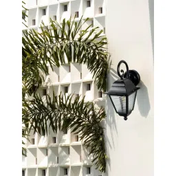 Whispering Homes Black Metal Misty Outdoor Wall Light-picture-16