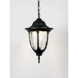 Whispering Homes Black Metal Neuro Outdoor Hanging Light - Large-picture-36