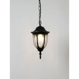 Whispering Homes Black Metal Neuro Outdoor Hanging Light - Small-picture-13