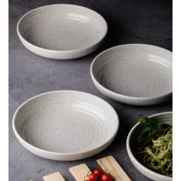 Stylish Melamine Dinner Plate (Set of 4) by White Gold-picture-17