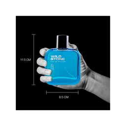 Wild stone Men Multicoloured Pack Of 3 Perfumes 300 ml-picture-32
