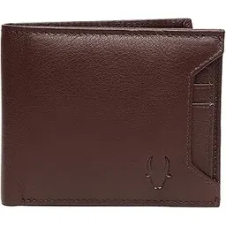 wildhorn RFID Protected Leather Wallet for Men-picture-34