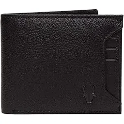 wildhorn Rfid Protected Leather Wallet For Men, Black-picture-27