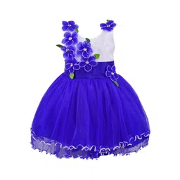 Wish Karo Blue & White Colourblocked Floral Applique Net Dress-picture-58