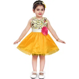 Wish Karo Girls Round Neck Floral Embroidered Net Fit & Flare Dress-picture-23