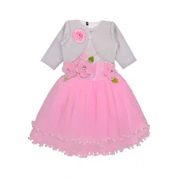 Wish Karo Pink & White Embellished Net Dress-image-17