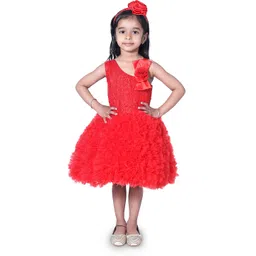 Wish little Girls Red Net A-Line Dress-picture-27