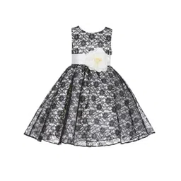 Wish little Lace A-Line Dress-picture-42