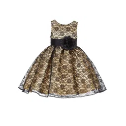 Wish little Lace A-Line Dress-picture-58