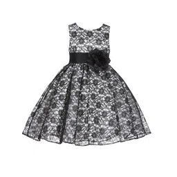 Wish little Lace A-Line Dress-picture-45