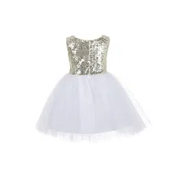 Wish little Net A-Line Dress-picture-49