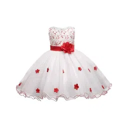 Wish little Net A-Line Dress-picture-10
