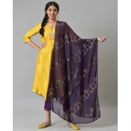 Women Embellished Georgette Dupatta-picture-12